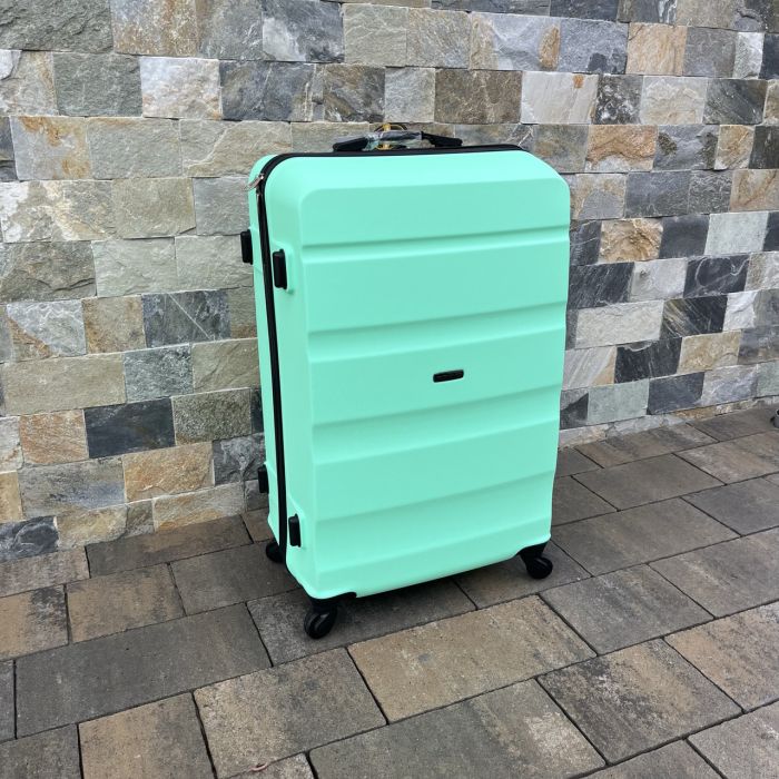 Чемодан дорожный большой Wings AT01 L Мятный