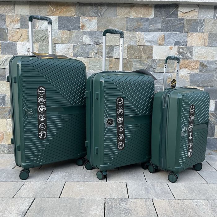 Валіза дорожня середня з поліпропілену Wings DQ181-04 M Зелений
