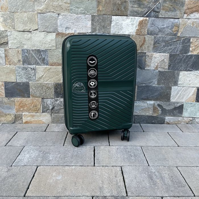 Чемодан дорожный малый из полипропилена Wings DQ181-04 S Зеленый