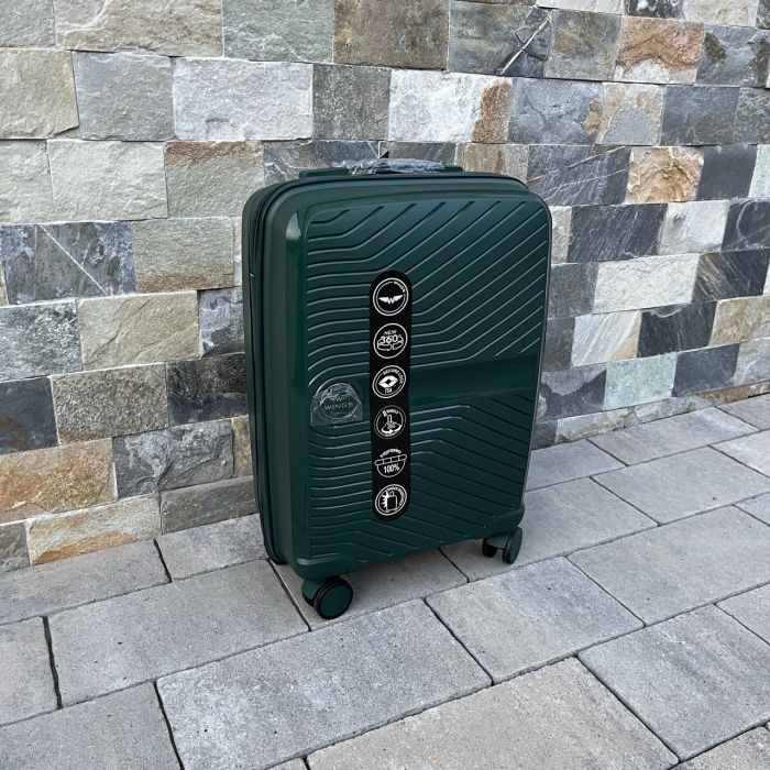 Чемодан дорожный малый из полипропилена Wings DQ181-04 S Зеленый