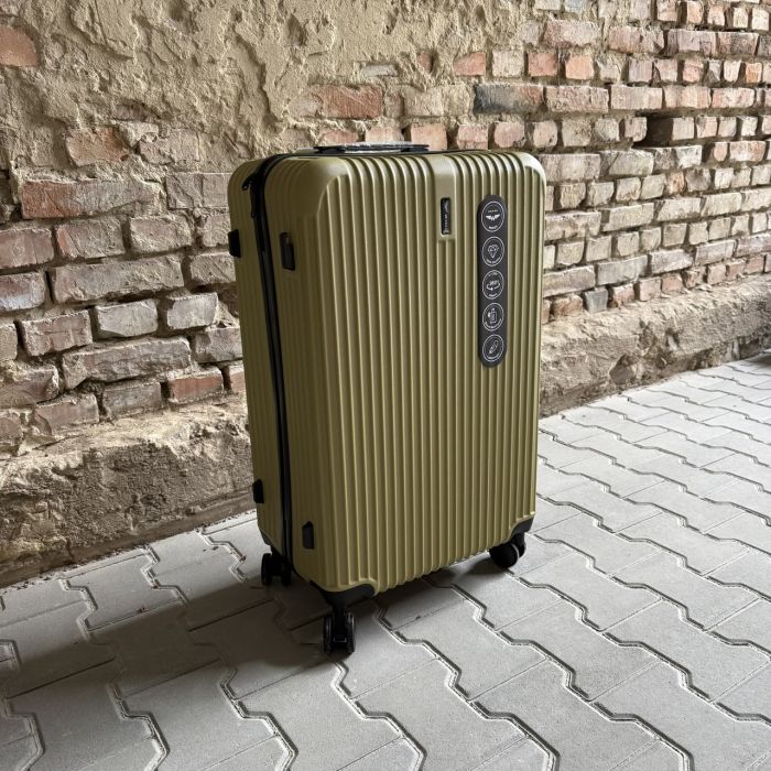 Чемодан дорожный большой Wings EGRET L Оливковый